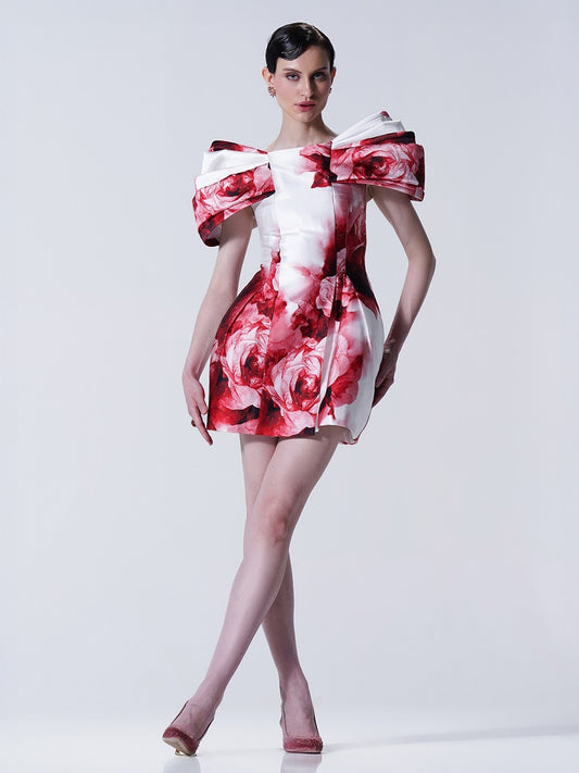 Rosarie Mini Dress
