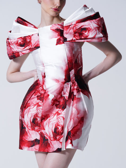 Rosarie Mini Dress